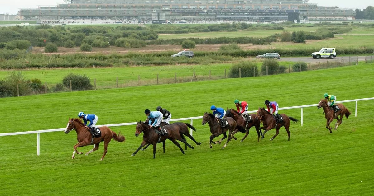 Royal Ascot set to kick off amid scorching forecast with wall-to-wall sunshine