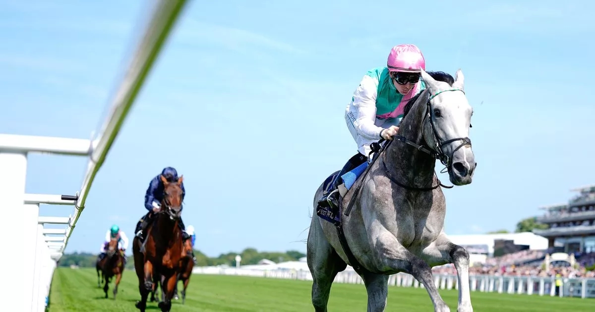 Field Of Gold mount at Goodwood up for grabs after first-choice jockey gets ban