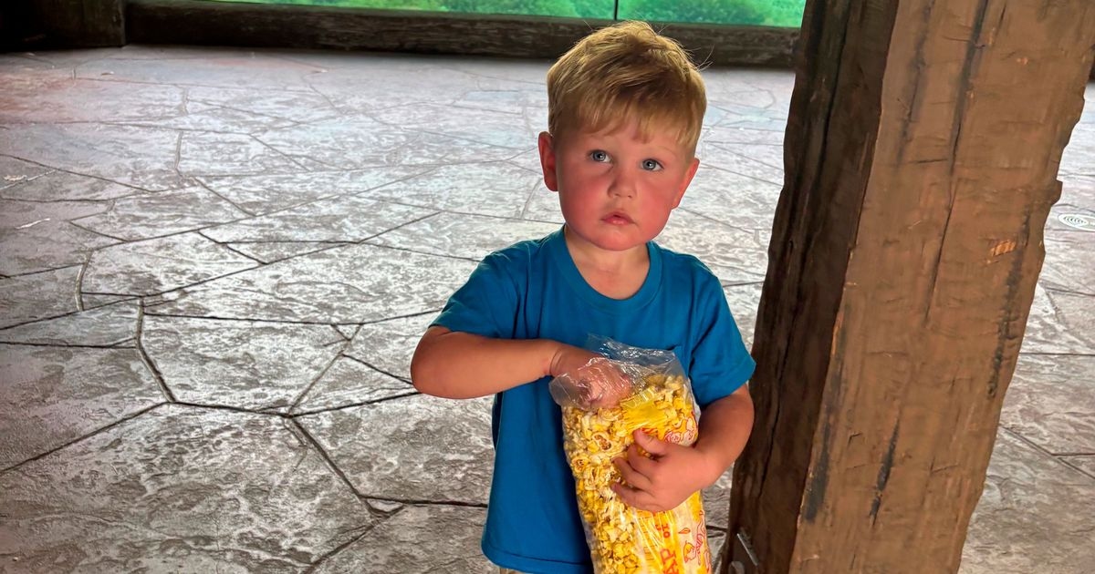 Boy fighting for life after being stung 150 times by wasps in tragic accident