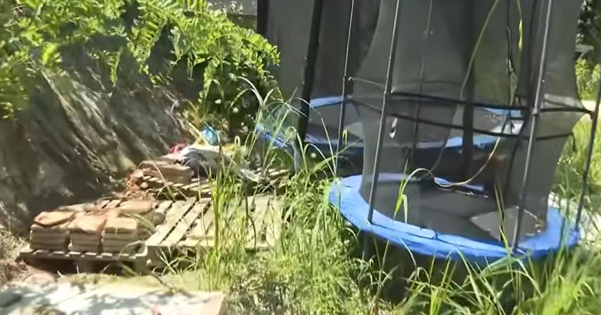 Siblings, 9 and 6, found on farm in nappies speaking only primitive language