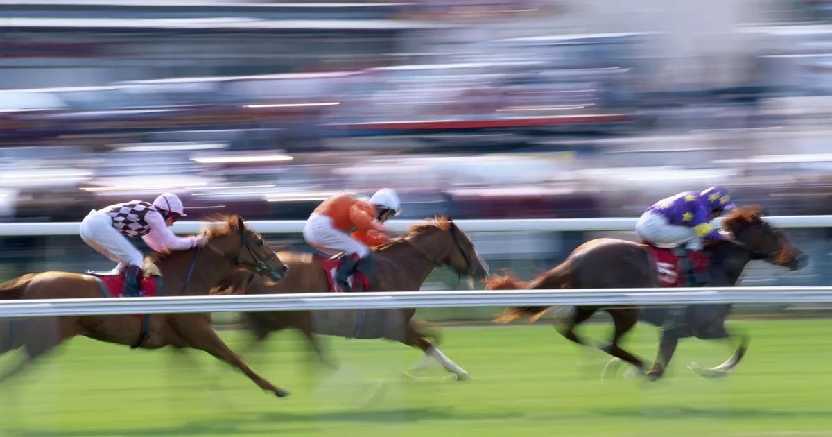Free William Hill shop bet every day of the Newmarket festival