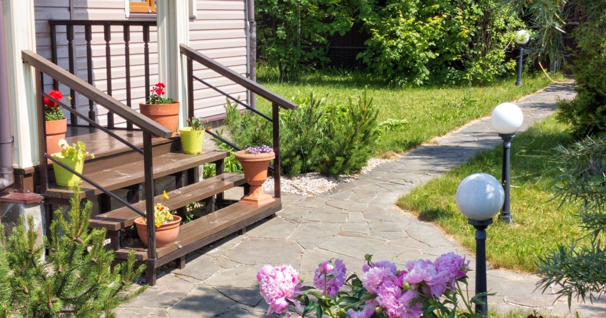 Top ways to protect plants from thieves as most stolen species uncovered