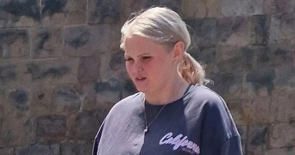 XL Bully-type dog bit girl, 9, in face - then owner begged mum not to tell cops
