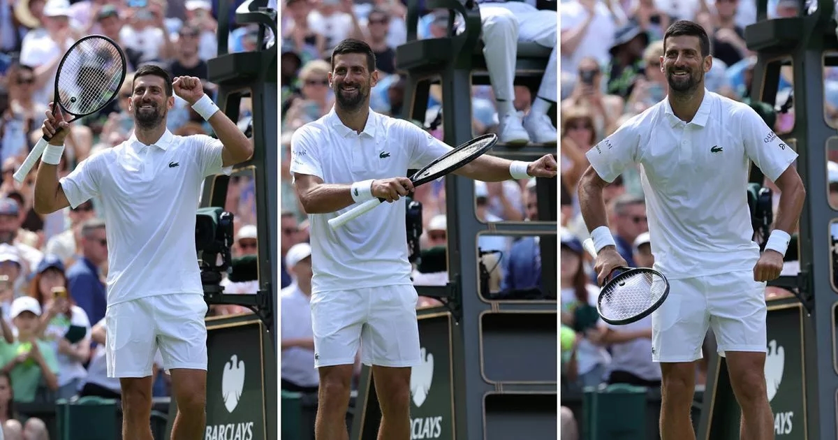 Novak Djokovic's controversial 'pump it up' Wimbledon celebration explained