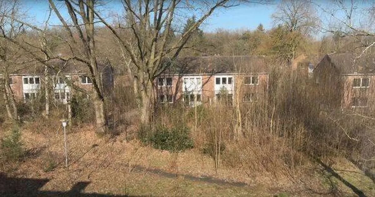 Entire British ghost town left abandoned for over a decade as nature takes over