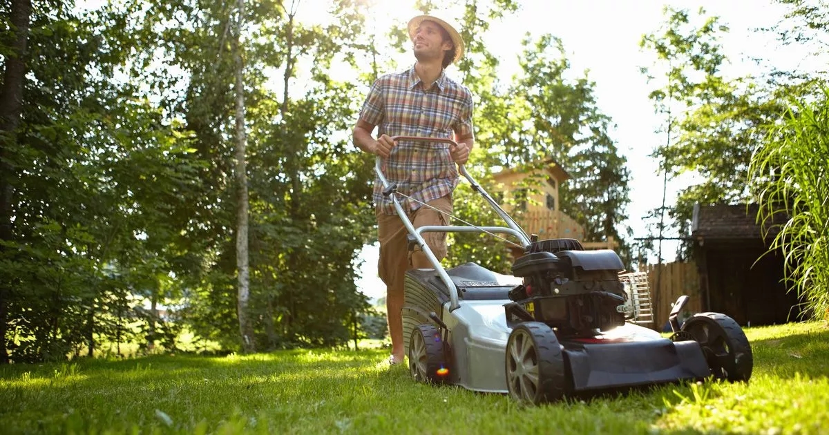 Gardeners told mowing the lawn before specific date is 'banned'