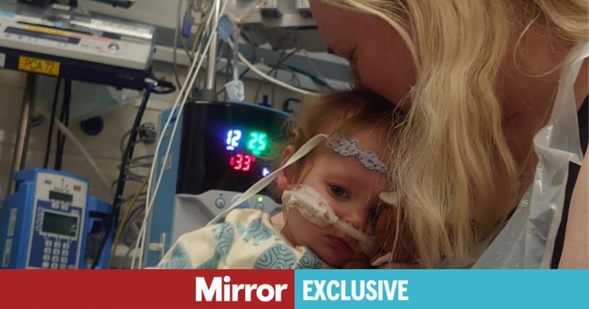 £1m heart transplant hero's dad urges schools to teach about organ donation