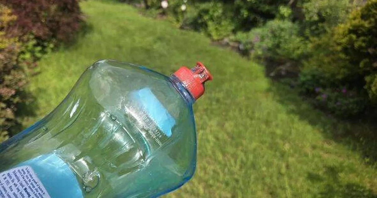 Gardeners urged to pour washing up liquid on lawns