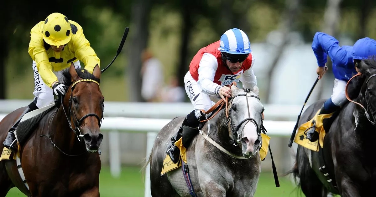 Death of Classic-winning sire of Willie Mullins stars after illness