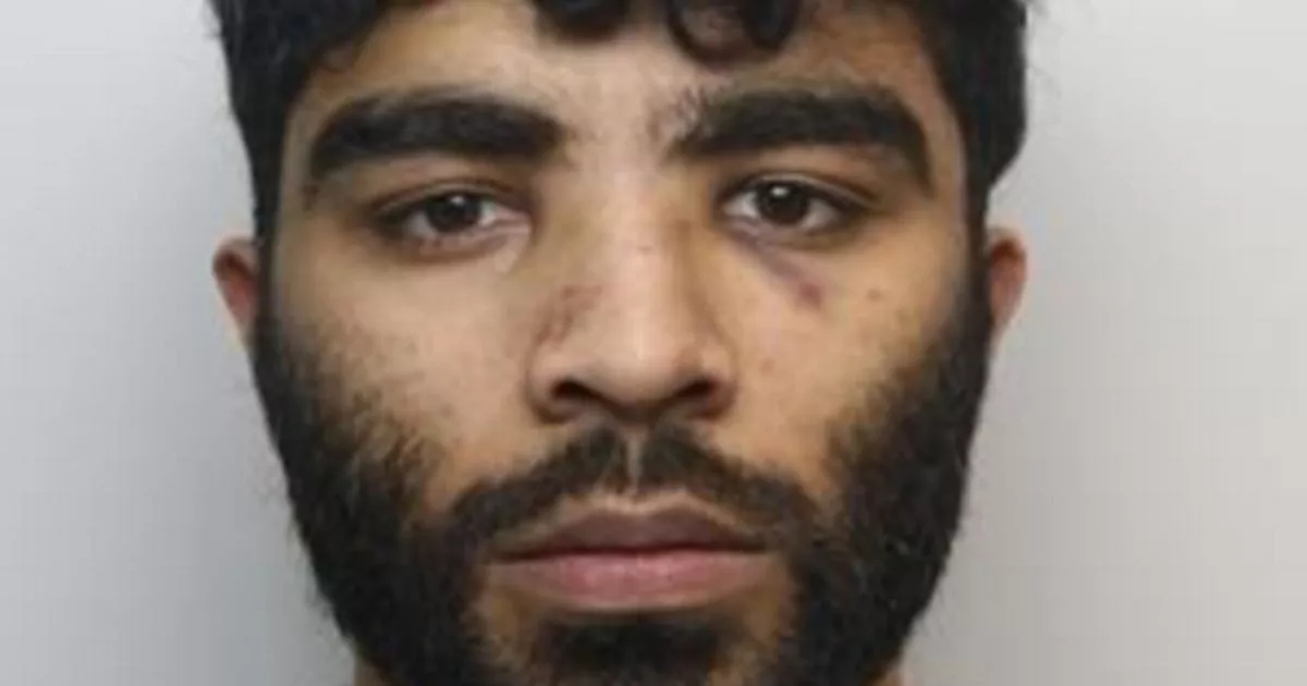 'Laughing' murderer ploughed car into wedding party and killed 'Good Samaritan'