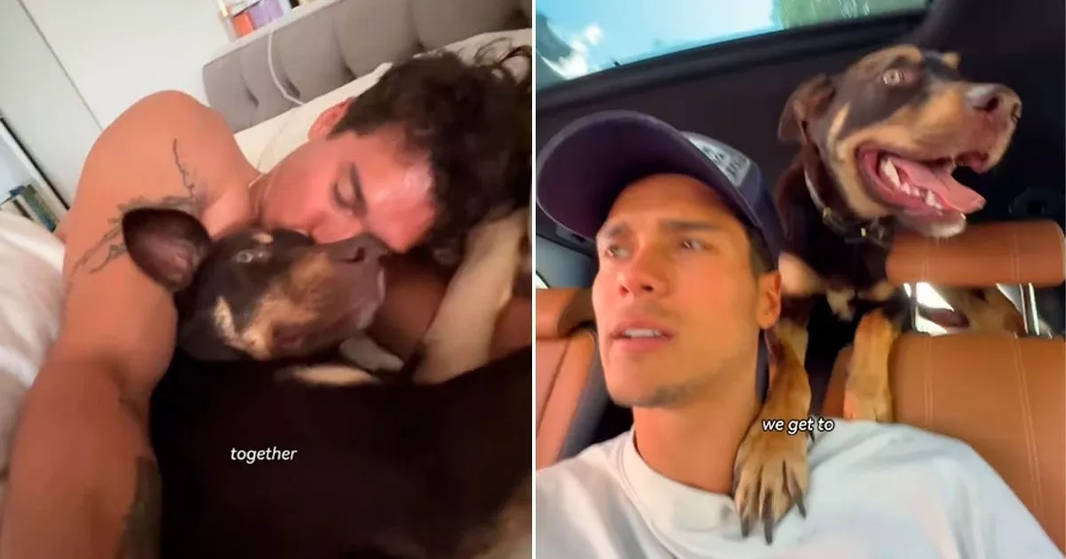 Fans fume as Made In Chelsea star rehomes dog due to busy influencer career