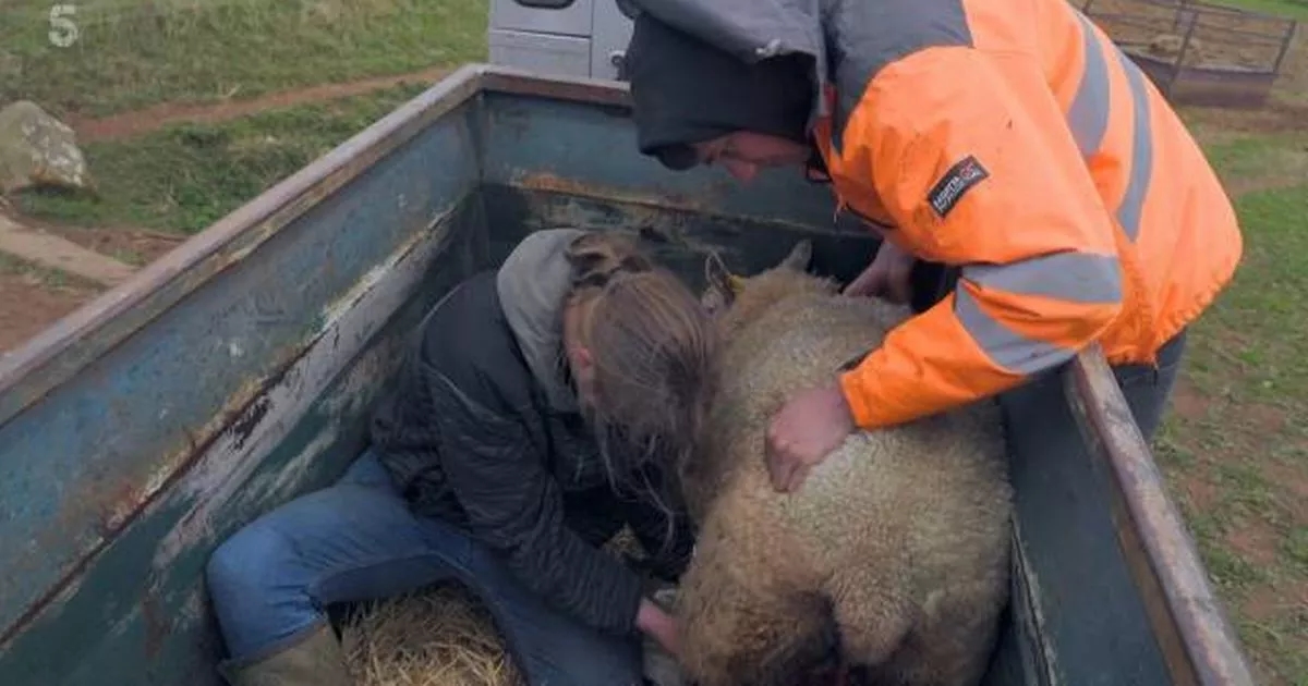 Our Yorkshire Farm's Reuben faces 'really bad' setback with girlfriend Jess