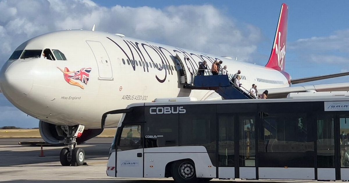 Nine teenagers arrested for 'endangering' passengers as plane lands at Heathrow