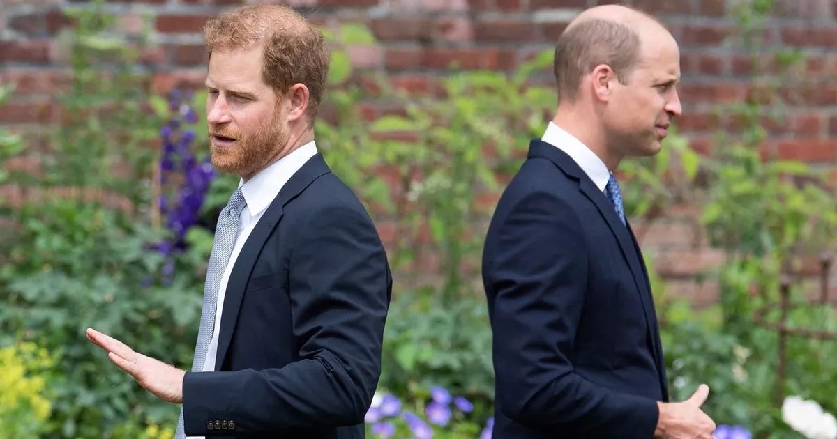 Prince Harry's team bites back after claims William could 'banish' Sussexes