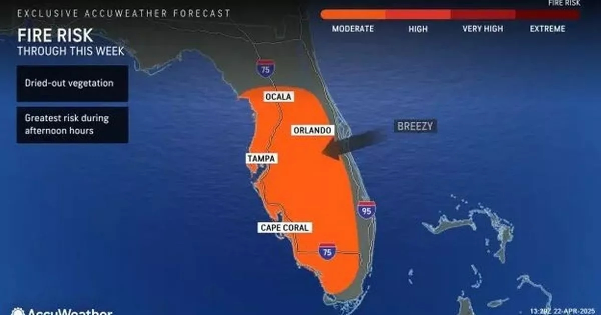 Florida weather: High wildfire risk as drought conditions continue leaving vegetation bone dry