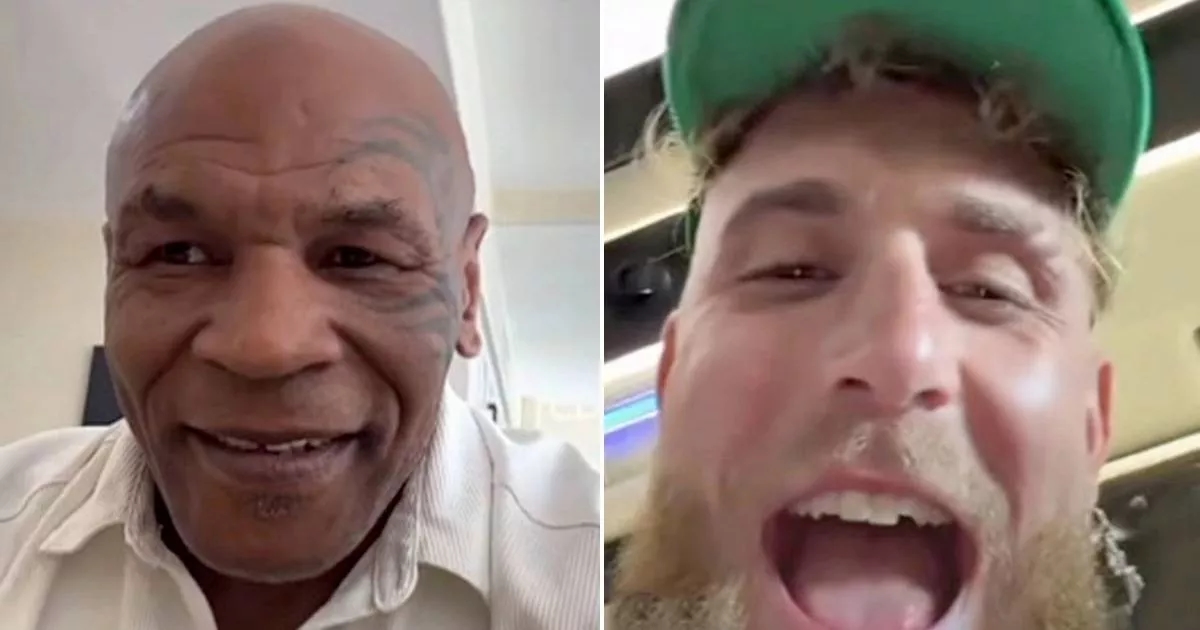 Mike Tyson and Jake Paul strike $1 million bet on winner of Taylor-Serrano