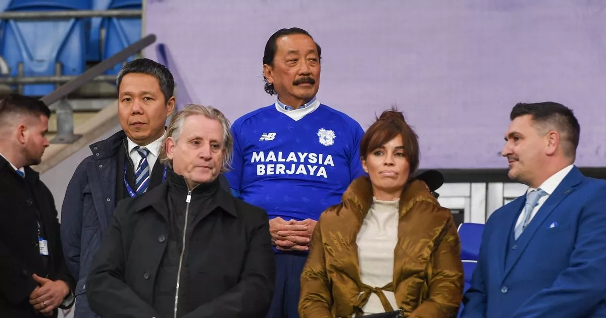 Cardiff City's actual valuation and the huge sums Vincent Tan would need to write off if sold
