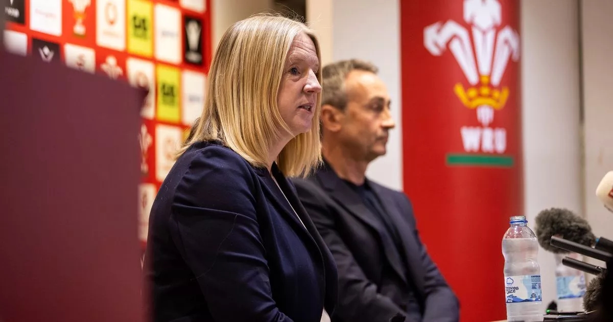 The search for Wales' new head coach, why it's taking time and names still in frame