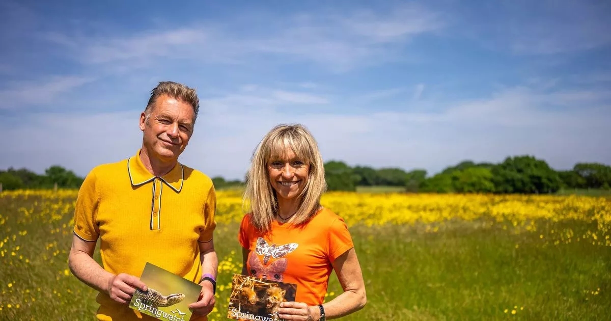 BBC Springwatch stars share real truth behind their on-set 'fallouts'