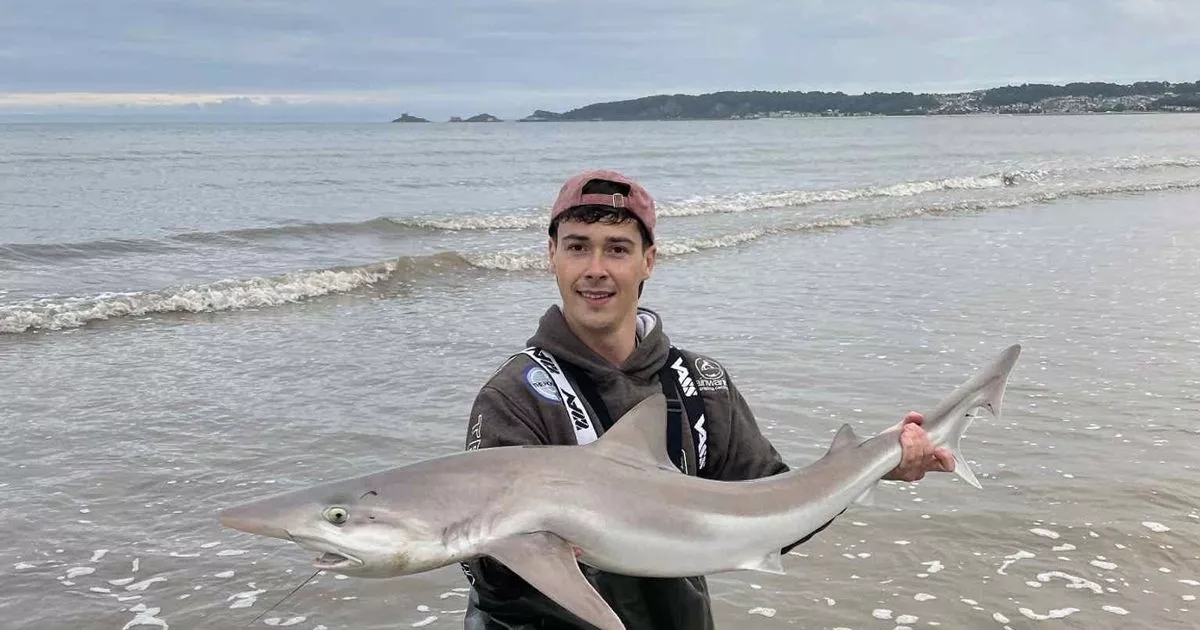 Man catches huge rare shark off Welsh beach