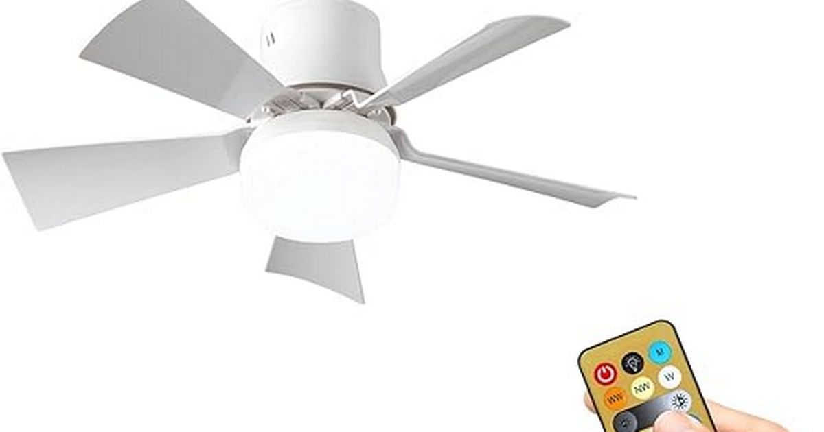 LED remote control ceiling fan 'keeps you cool through the night'