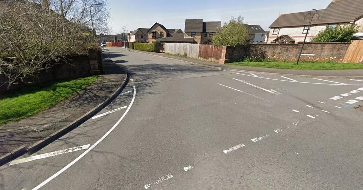 Man arrested after car crashes into lamppost in Welsh village
