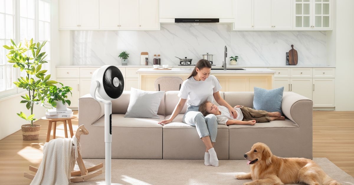 Review: Levoit Pedestal Air Circulator Fan is the quiet solution to summer heat