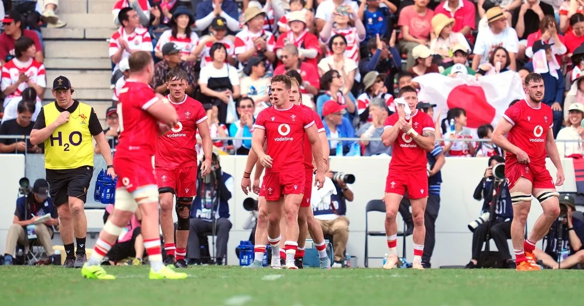 Wales player ratings vs Japan as far too many crumble in second-half capitulation