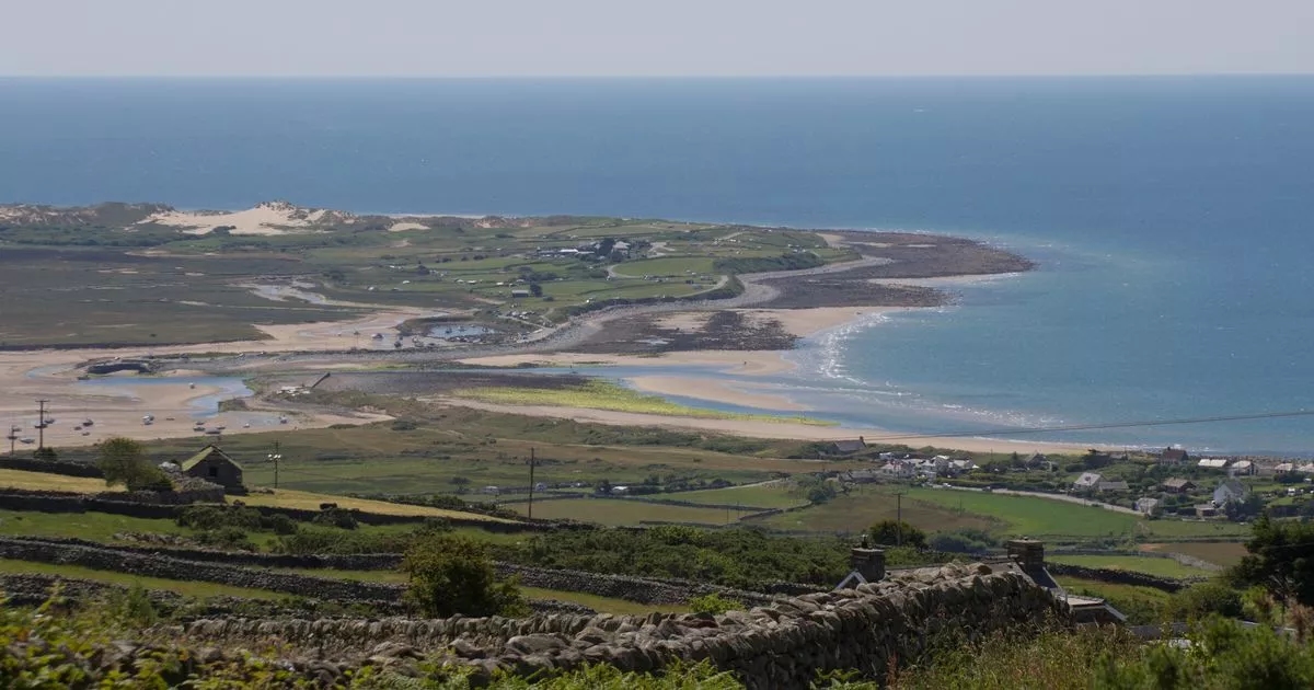 'Astonishing' beach that glitters with seashells is named the best in Wales