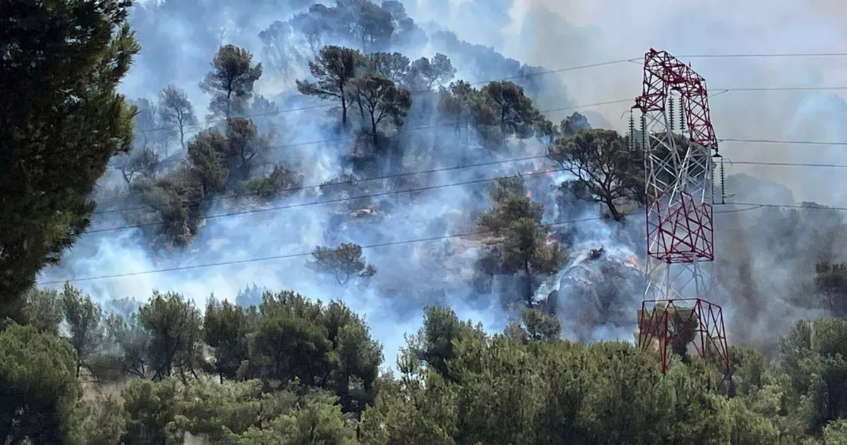 Flights halted and residents told 'stay home' as fires take hold in France