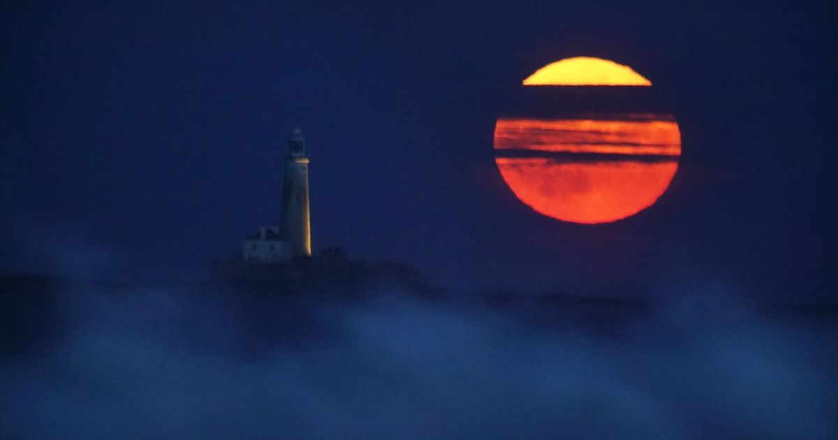 July's full Buck Moon is visible in the sky tonight and this is the best time to see it