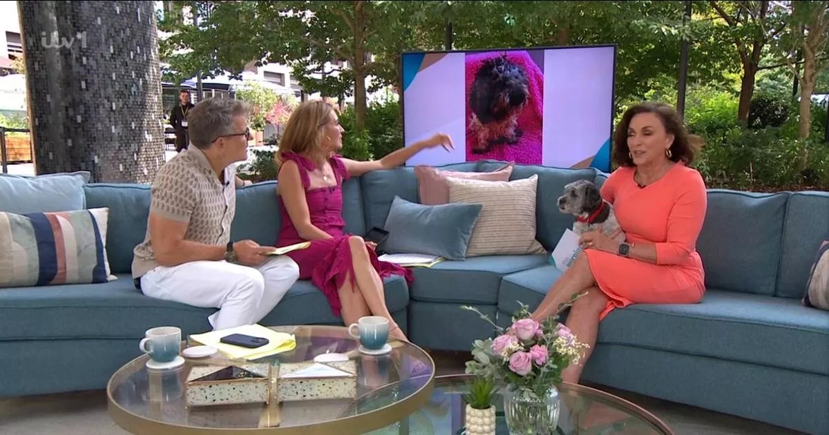 BBC Strictly's Shirley Ballas shares move away from show saying 'it may be bigger'