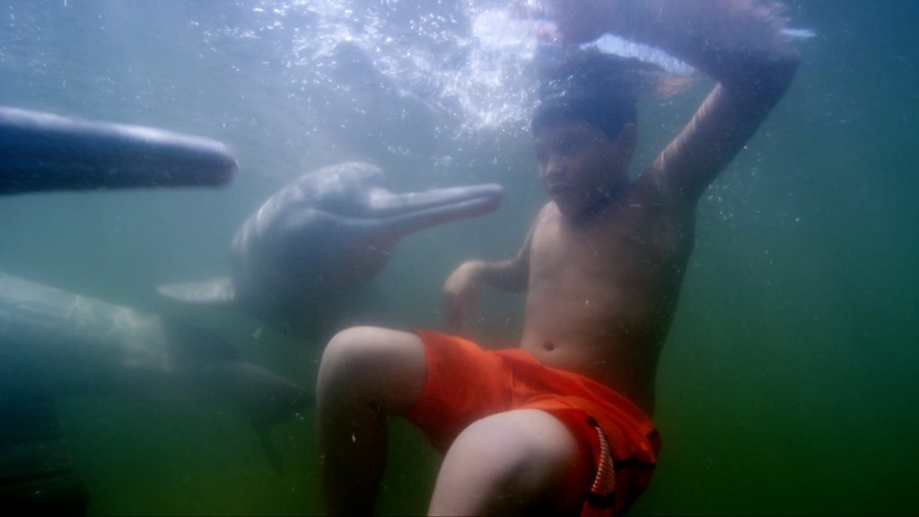 Watch river dolphins play with local children