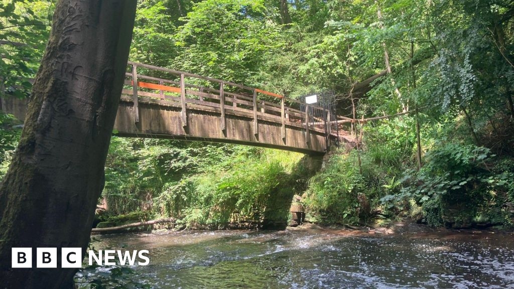 Calls for National Trust to replace Styal Woods wooden bridge