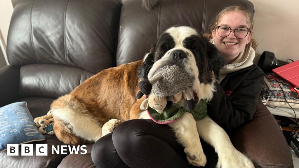 Crewe teenager 'very happy' after winning award at Crufts