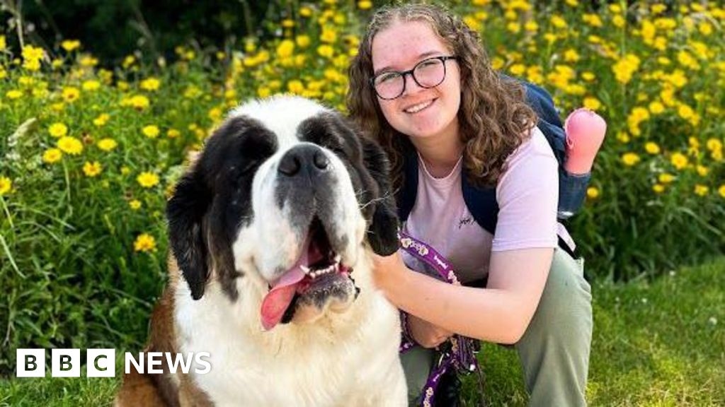 Crewe teen and assistance dog up for national award at Crufts