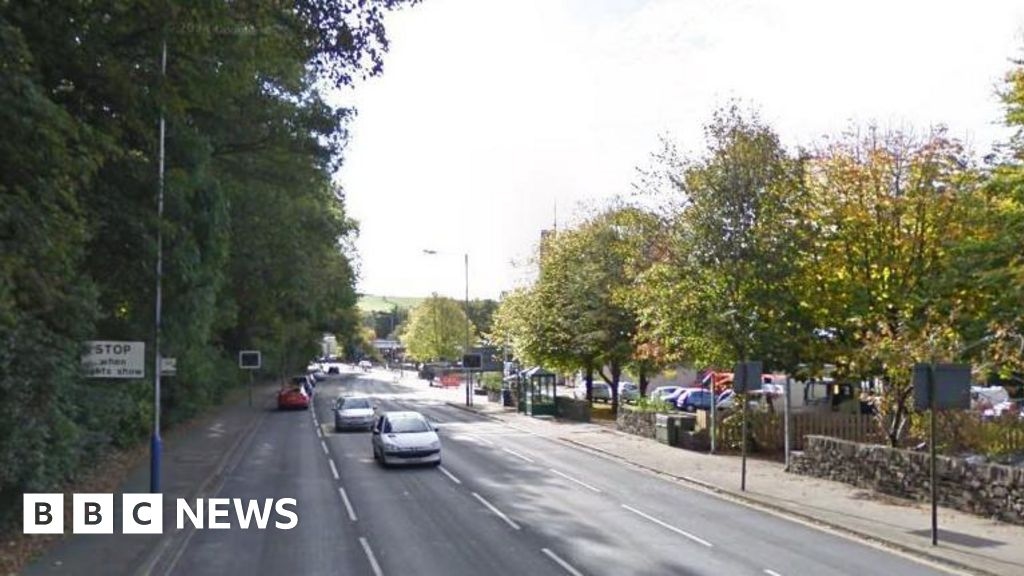 Large 'unstable' trees along busy Douglas road to be felled