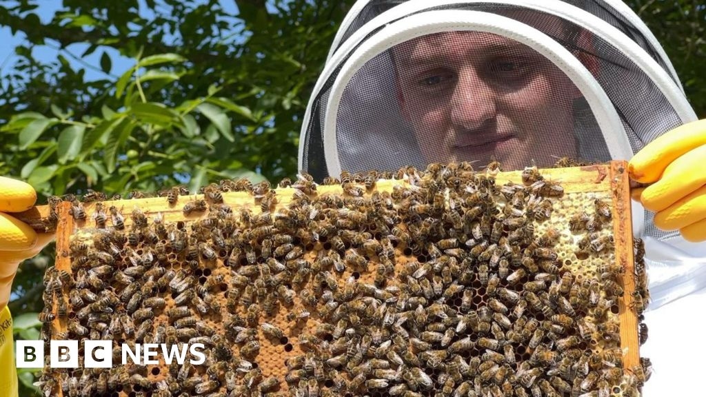 Student beekeeper finds 'bee paradise' in the heart of Oxford