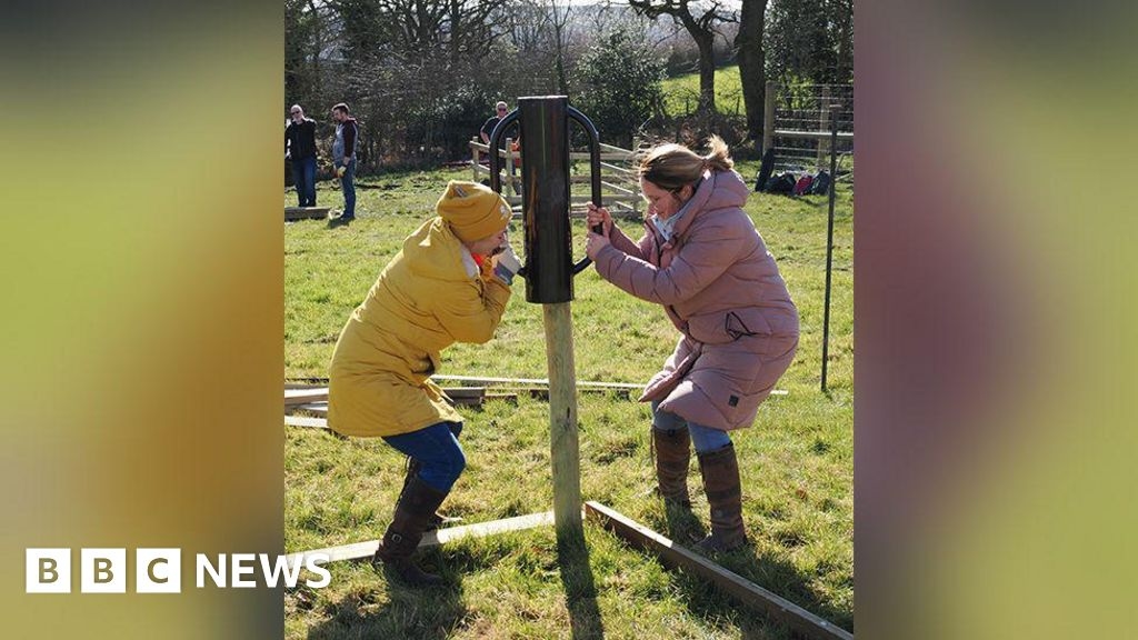 Ten million trees planted in Northern Forest project