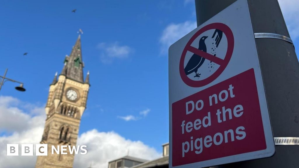 Darlington bird feeding ban as part of council crackdown