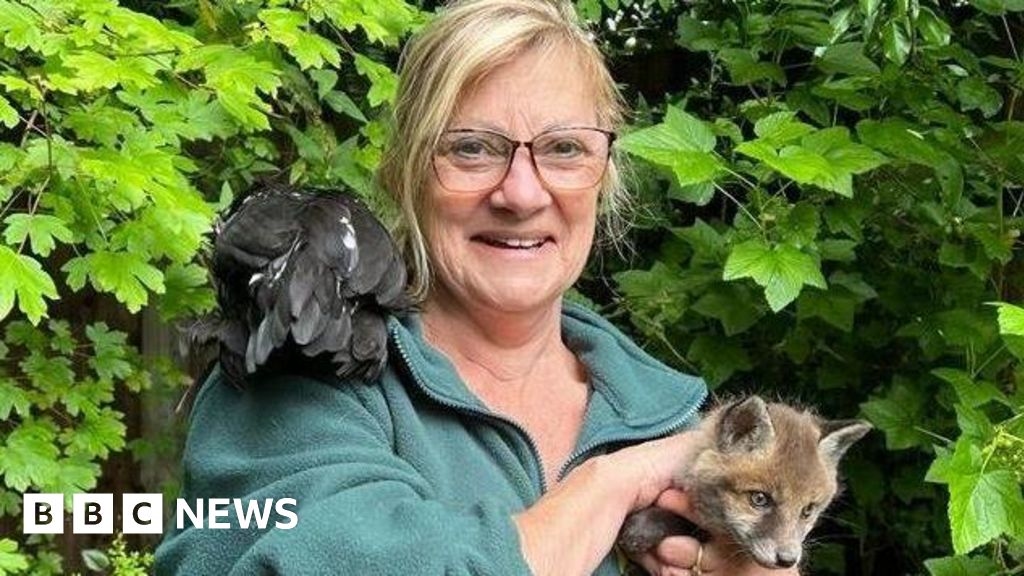 Cambridgeshire wildlife hospital gets time to revise site plans