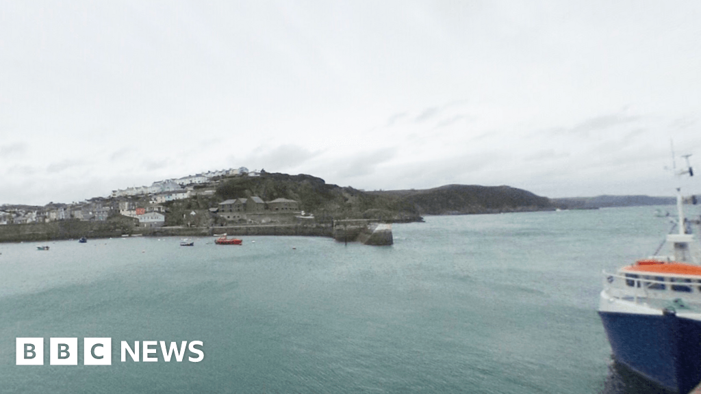 Coastguard warning after dog falls from cliff in Cornwall
