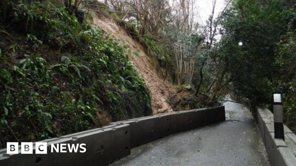 Dinah's Hollow: Eco surveys begin ahead of road landslip works