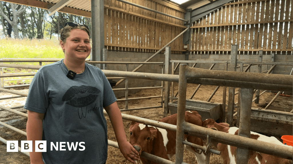 Teens unsuccessful in bid to run Sark dairy