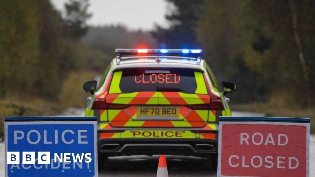 Bull killed and people injured in A31 Sturminster Marshall crash