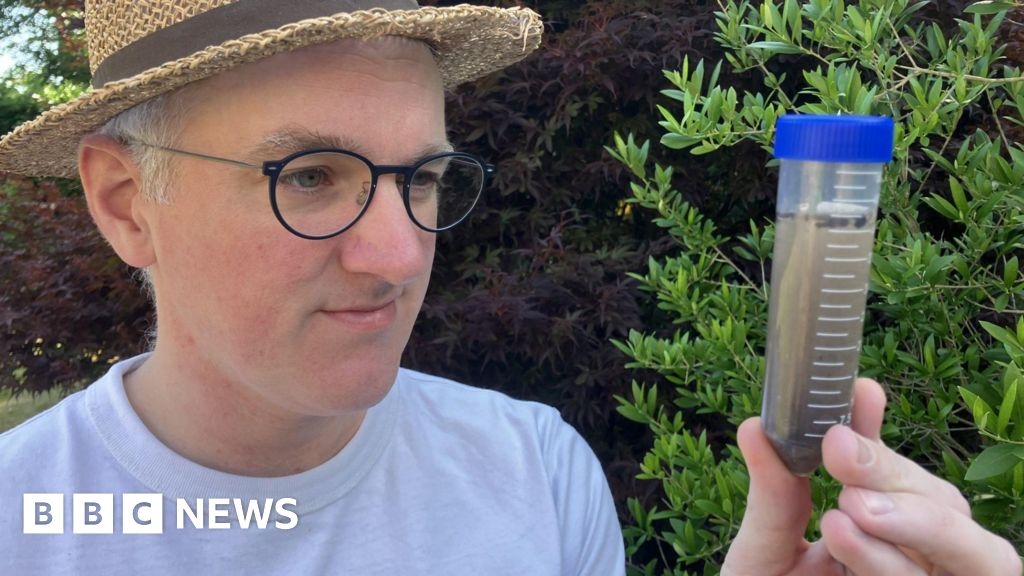 Phage therapy: I found a bacteria-eating virus in my loo