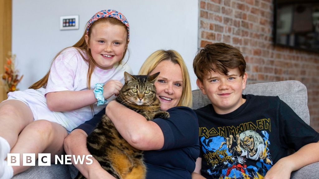 Is troublemaker Rocky the UK's top cat?
