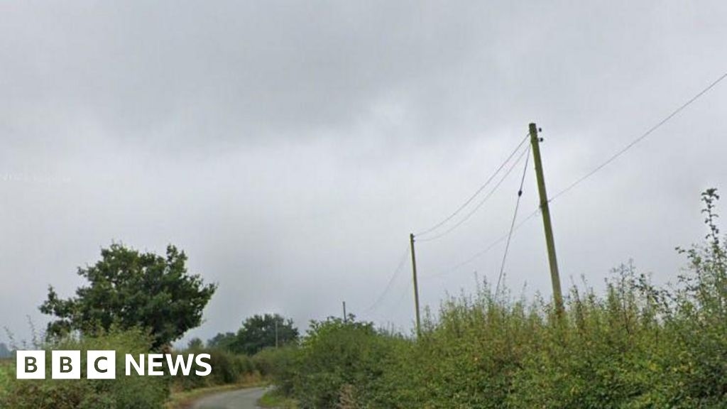 Shropshire power lines upgrade to meet 'new and future demand'