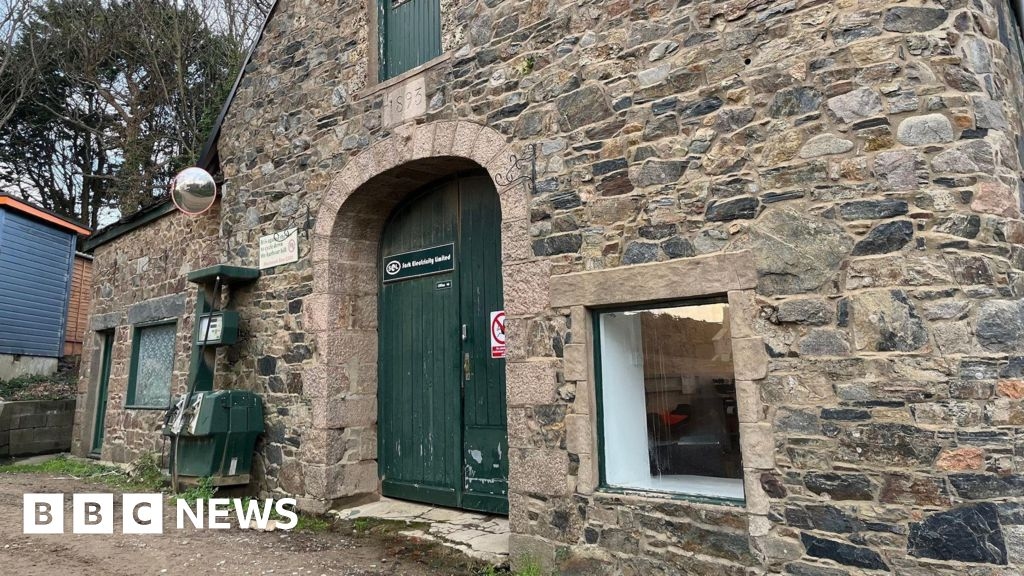 Chief Pleas to start compulsory purchase of electricity company