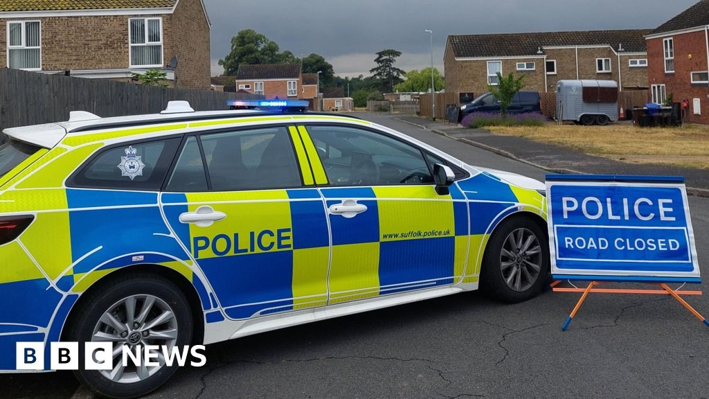 Bomb squad called to Lakenheath after grenade found
